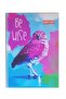 10 قطع من دفتر ملاحظات مربع الشكل بغطاء من البولي بروبيلين و120 ورقة حلزونية الشكل - 3
