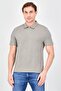 Men Regular Fit Textured Short Sleeve Polo Shirt, Sage Green