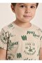 Boys Beige Green Summer Shorts Set - 5