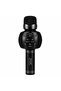WS-2911 Wireless Microphone Speaker - Portable Karaoke System - 2