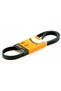 Curea Poly-V Continental 7PK2061 - 2