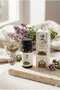 Thyme Oil 10 ml |   100% Natural Thyme Essential Oil |   Pure and Without Additives |   Herbal Oil for Aromatherapy, Steam, Massage, and Skin Care