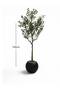 Artificial Olive Tree with Premium Base - 3
