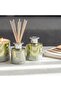 Alvea (200Ml) Harmony Pine & Eucalyptus Reed Diffuser - 2