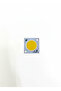 SPOT COB LED