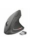 Verto Wireless - 2