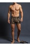Erkek boxer - 2