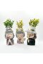 Charming Figurine 3PCS Set Green Pink Grey Polyresin Decorative Flower Vase Cute Girl Succulent Pot Modern Indoor Home Office Table Decor Gift Set