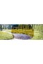Okulary SPLIT REACTIV 2-3 GLARE CONTROL - 3