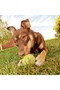® 3-Piece Colorful Patterned Tennis Ball Cat Dog Toy - 7