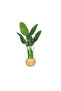 Banana Paper Tree Medium 3 Branches with Gold Plastic Base 160 cm