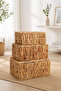 Wicker 3-Compartment Rectangular Organizer/Basket with Lid
