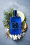 عطر بلو إي دي بي 100 مل عطري، عطر فوجير الرجالي 8682367054623 - 2