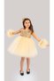 Gold Colored Girl's Birthday Party Dress with Pompom Sleeves - 2