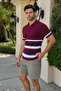 Striped Knitwear Plum Polo Collar T-Shirt 6356
