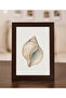 إطار ديكور-10X15 - 6
