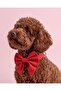 Dog Collar with Red Bow Tie Special for Female Dogs Bow Collar - 2