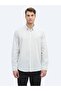 Brown Striped Regular Fit Long Woven Casual 100% Cotton Shirt - 3