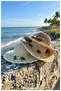 100% Paper, Hand Knitted, Straw Hat for Women (Size 57-58) (There Is a Drawstring Inside) - 8