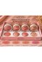 Madam Milano Terracotta Blush Coral Pink (a) – Professional Makeup-Coral Pink (Warm Pink-Peach Tone) - 4