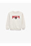 Raised Long Sleeve Crew Neck Teddy Bear Printed Oversize Sweatshirt - 3
