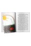 One Peach, One Peach - Ages 7-12 - Samed Behrengi Virtue Stories - 4