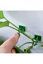 Plant Climbing Wall Clamps- Self Adhesive Vine Hooks