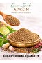 Carom Seeds Premium – Ajwain Seeds, Habbat Al Ajwain, Bishop’s Weed – Natural Spice for Cooking, Digestion & Herbal Use - 3