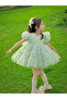 Girls Floral Print Puff Sleeve Dress - 4