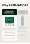 Rosemary Dry Shampoo Powder, Travel Size (10g/0.3oz) - 6