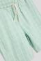 BG Store Boy's Green Shorts - 6