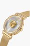 Women's 34 MM Gold Analog Stainless Steel Watch | V WVSPLD1821 - 2