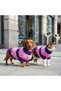 Striped Pink and Purple Tone Sweater for Cat and Dog - 2