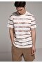 Regular Fit Round Neck Striped Men's Brown Short Sleeve T-Shirt
