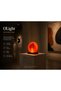Olight Orange Modern Decorative Glow - O (Orange Donut) Design Soft Ambient Lamp (Table-Ambient-Night Light)