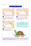 Paper Folding Part 3 - 5