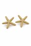 Special Series Starfish Gold Earrings - 2