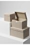 3-Piece Gray Mega Maxi Mini Storage Box with Lid, Sturdy Formed Storage Box, under Bed, under Cabinet Organizer Set, Organizer Set