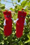Unisex Red Holding Hands - Holding Hands Socks 1 Pair - Cute Face Expression Socks