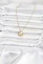 316L Steel Chain Gold Color Sea Shell Model Women's Necklace - 2