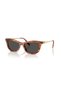 Sunglasses Sk6057 56 109187