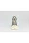 5-Piece Professional Russian Ball Tip Set – 5.9 cm Large Size Stainless Steel Cream Squeezing and Ruffle Tips - 5