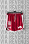 Bulls Printed Unisex Retro Varsity Sports Training Shorts