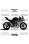 ملصق طلاء CFMOTO 450SR ثنائي اللون، طقم جاهز لتزيين المحرك، عالي الجودة