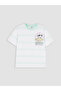 Lcw Kidscrew Neck Striped Printed Boys' T-Shirt - 3