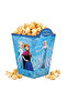 Frozen Doğum Günü Seti 66 Parça - 5