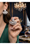Brass Silver Color Zircon Stone Fan Model Earrings - 3