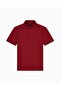 Men's Regular Cut Eagle Logo Embroidered Cotton Pique Fabric Short Sleeve Red Polo Collar T-Shirt - 7