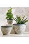 Hamilton Ceramic Planter 52x52x40cm - Blue - 3