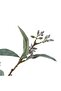 Artificial Eucalyptus Spray 22.86x22.86x54.61cm - Black - 3